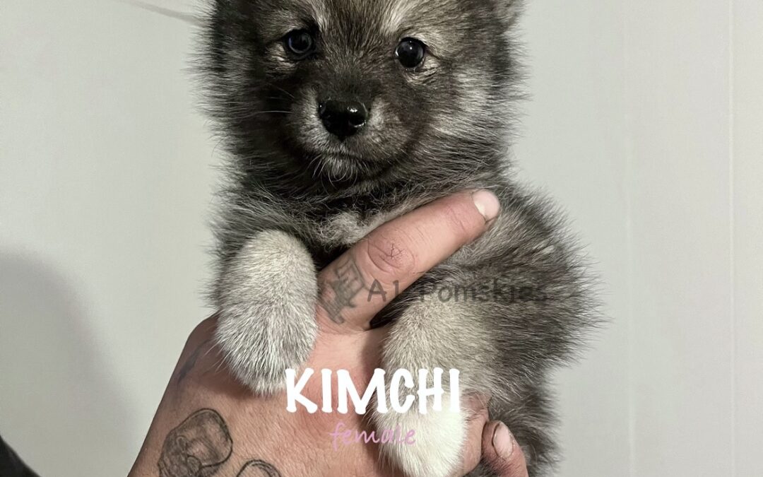 Kimchi